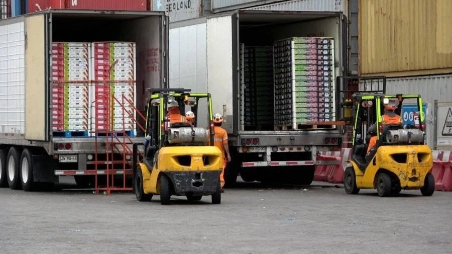 Operación de carga de pallets en contenedores refrigerados